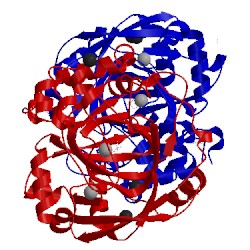 Image of CATH 4xdp