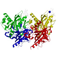 Image of CATH 4xhf