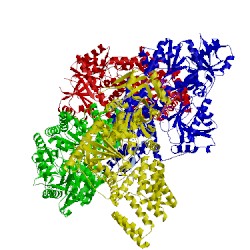 Image of CATH 4xif