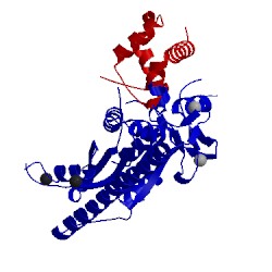 Image of CATH 4xlg