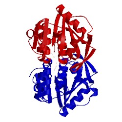 Image of CATH 4xll