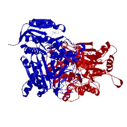 Image of CATH 4xrg