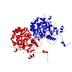 Image of CATH 4xti