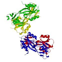 Image of CATH 4xws