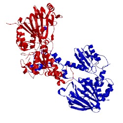 Image of CATH 4y4r