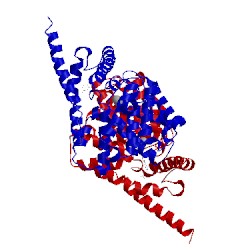 Image of CATH 4y87