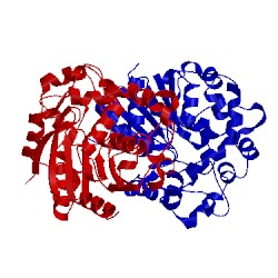 Image of CATH 4y9s