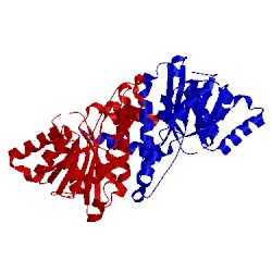 Image of CATH 4yae