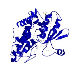 Image of CATH 4yav