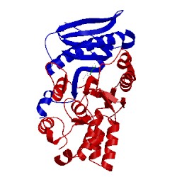 Image of CATH 4yec