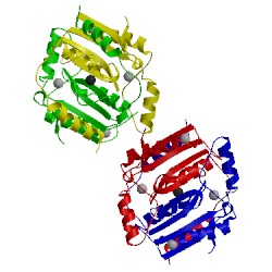 Image of CATH 4yf4