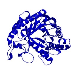 Image of CATH 4yn5