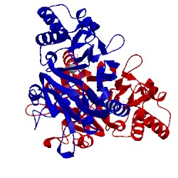 Image of CATH 4ysl