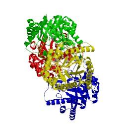 Image of CATH 4yts