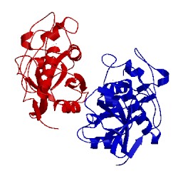 Image of CATH 4yyq