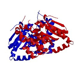 Image of CATH 4zdf