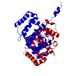 Image of CATH 5a36