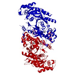 Image of CATH 5a5g