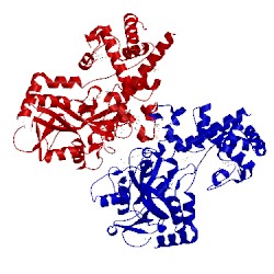 Image of CATH 5a5x