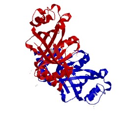 Image of CATH 5a5y