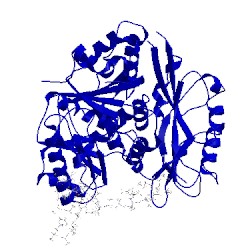 Image of CATH 5a6f