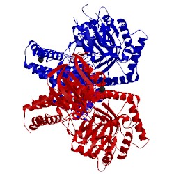 Image of CATH 5abh