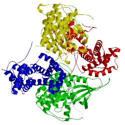 Image of CATH 5acb