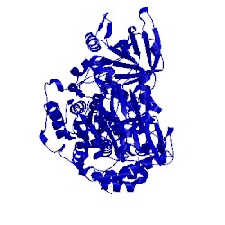 Image of CATH 5acn