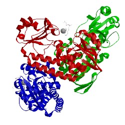 Image of CATH 5adw