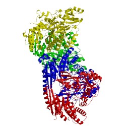 Image of CATH 5ae1