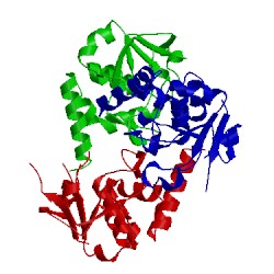 Image of CATH 5ap8