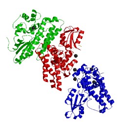 Image of CATH 5axi