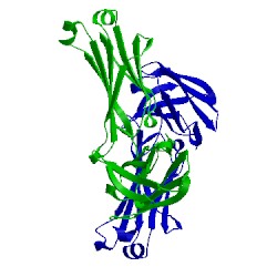 Image of CATH 5b71