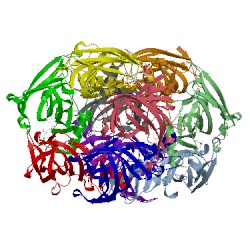 Image of CATH 5bp0