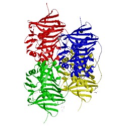 Image of CATH 5bp2