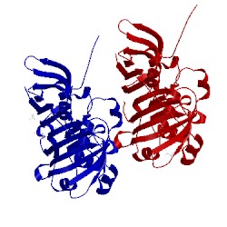 Image of CATH 5bp3