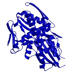 Image of CATH 5bpn