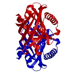 Image of CATH 5brl