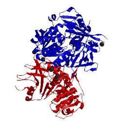 Image of CATH 5bur