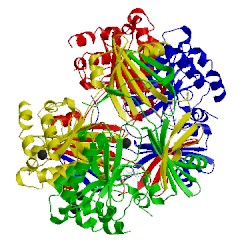 Image of CATH 5bv3