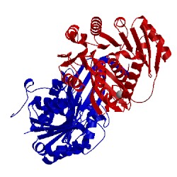 Image of CATH 5byd