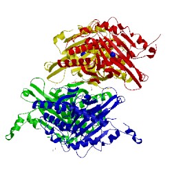 Image of CATH 5c3p