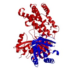 Image of CATH 5c4g