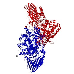 Image of CATH 5ca3