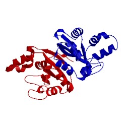 Image of CATH 5caa