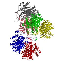 Image of CATH 5cbq