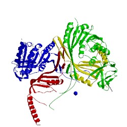 Image of CATH 5cd1