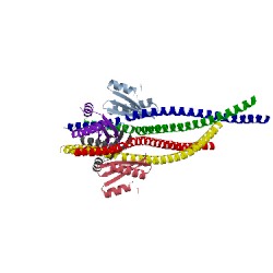 Image of CATH 5cff