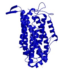 Image of CATH 5ci2