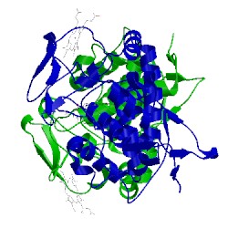 Image of CATH 5cih